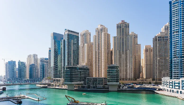 Things to Consider Before Setting Up a Business in DMCC