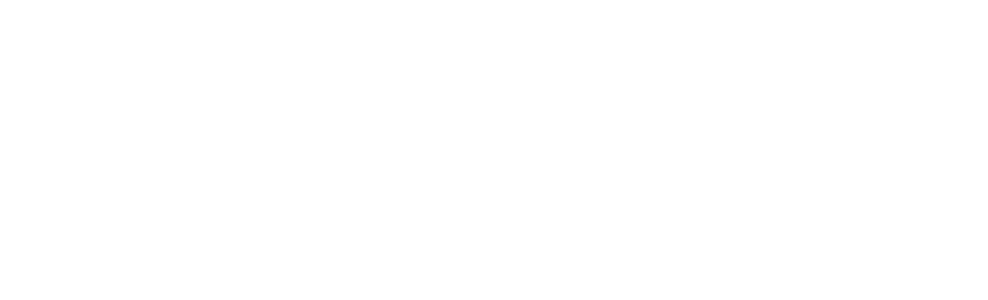 zoho-projects-white-logo