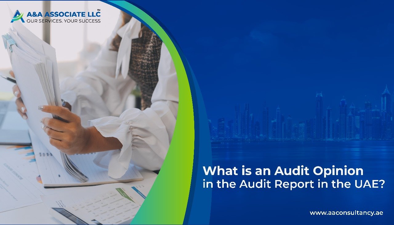 What is an Audit Opinion in the Audit Report in the UAE
